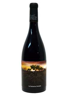 Vino tinto La Garnacha Olvidada de Aragón