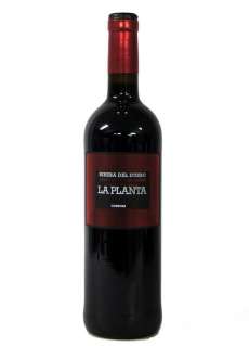 Vino tinto La Planta